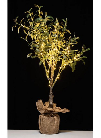 The Grange Collection Olive Tree with LED Lights