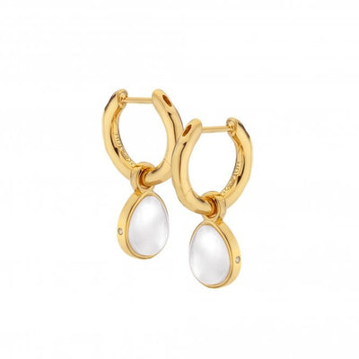 Hot Diamonds by Jac Jossa - 18ct Gold Plated Sterling Silver Calm Mother Of Pearl Earrings
