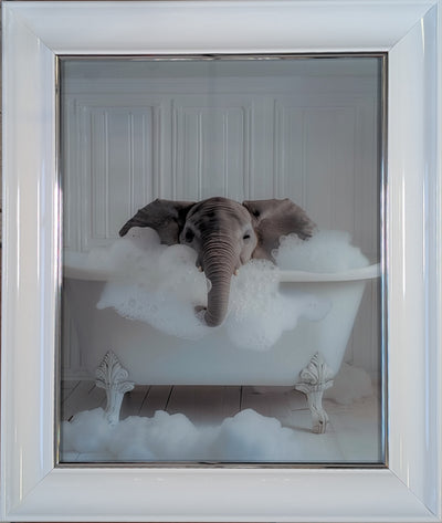 Framed Art on Glass - Bathroom Animals Collection - Champagne Scoup Frame ** CLICK & COLLECT ONLY**