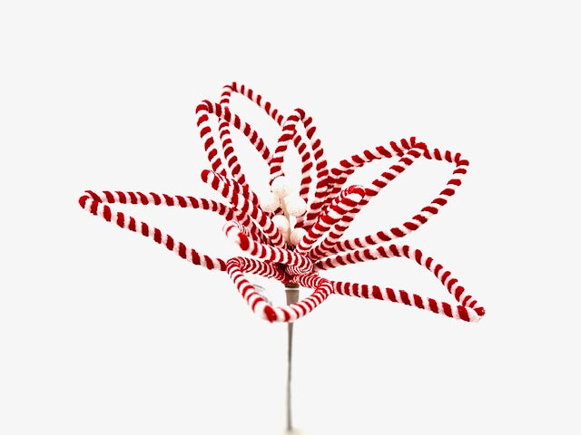 Christmas Floristry Pick - Red & White Candy Striped Poinsetta