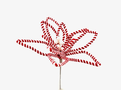 Christmas Floristry Pick - Red & White Candy Striped Poinsetta