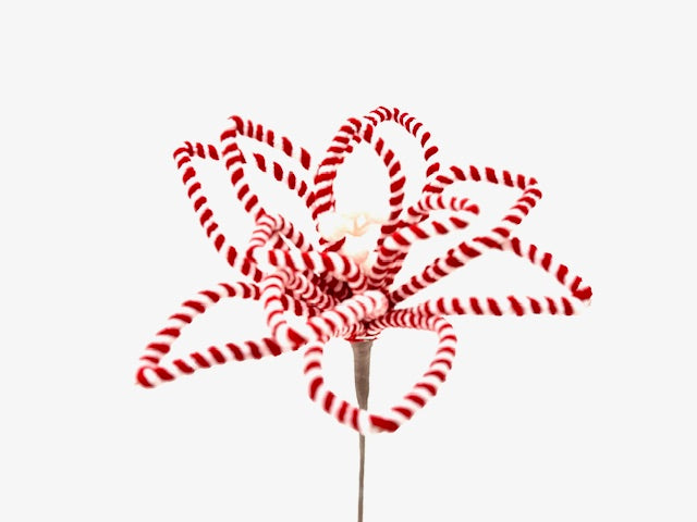Christmas Floristry Pick - Red & White Candy Striped Poinsetta
