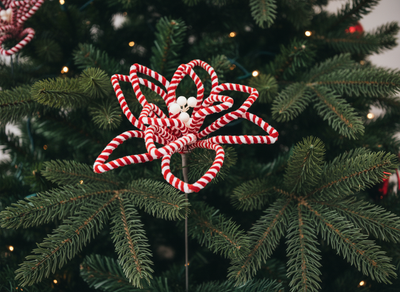 Christmas Floristry Pick - Red & White Candy Striped Poinsettia