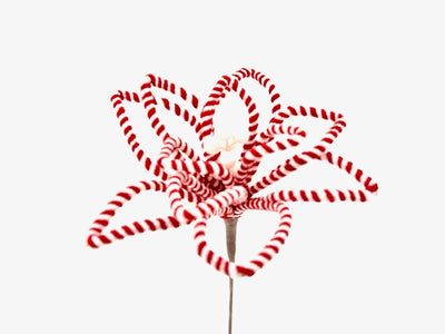 Christmas Floristry Pick - Red & White Candy Striped Poinsetta