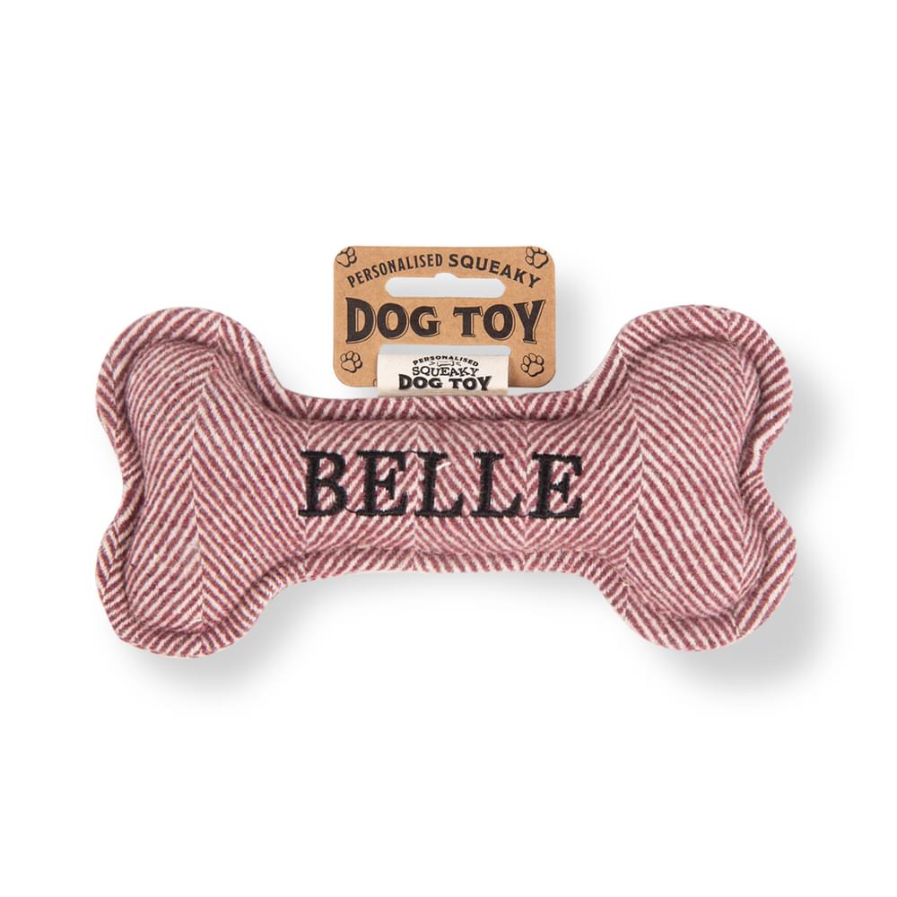 Personalised Squeaky Dog Toys - Names