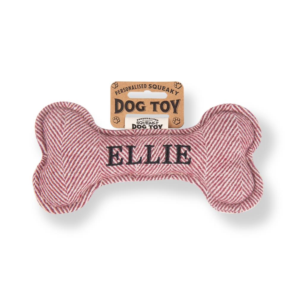 Personalised Squeaky Dog Toys - Names