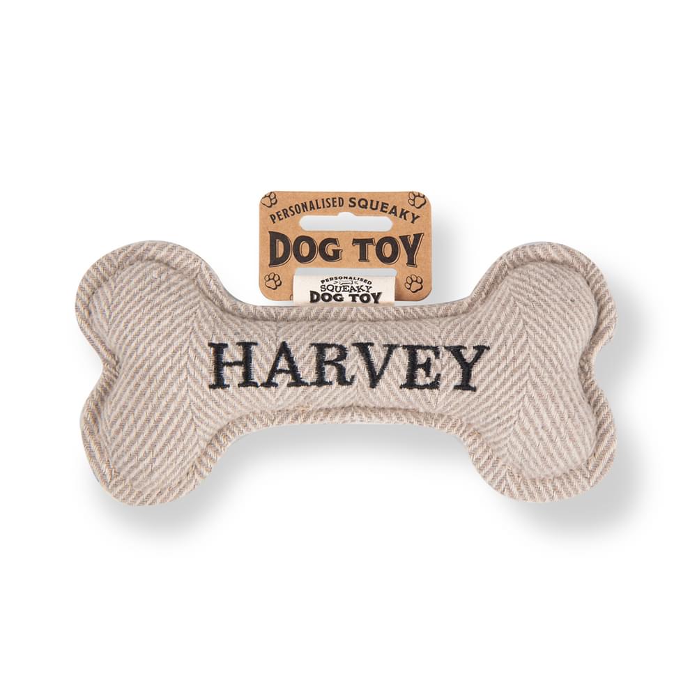 Personalised Squeaky Dog Toys - Names