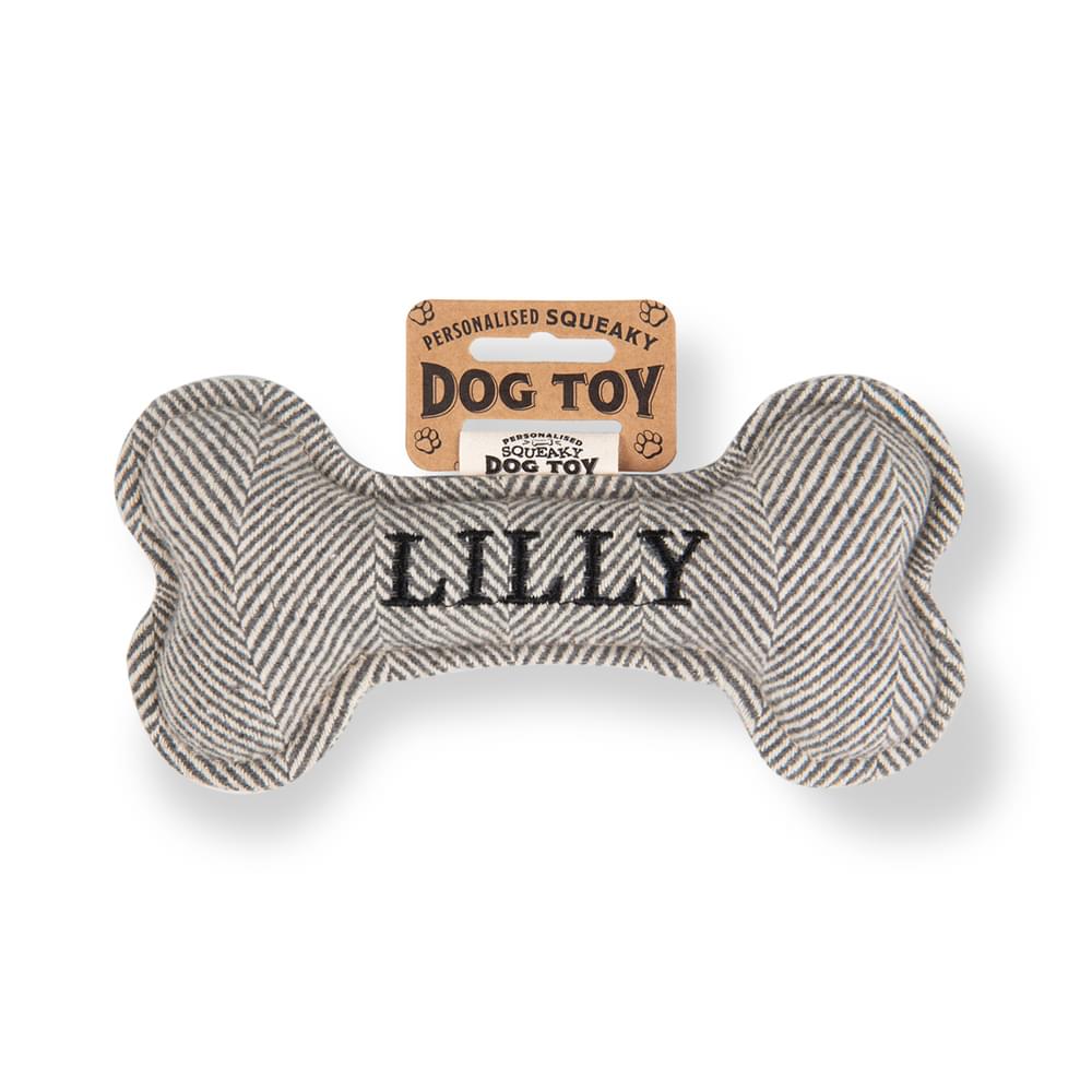 Personalised Squeaky Dog Toys - Names