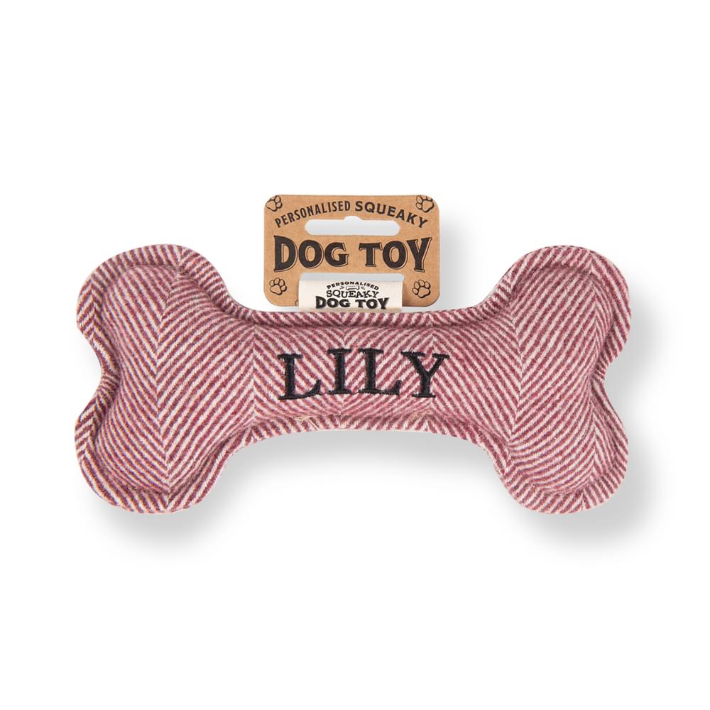 Personalised Squeaky Dog Toys - Names