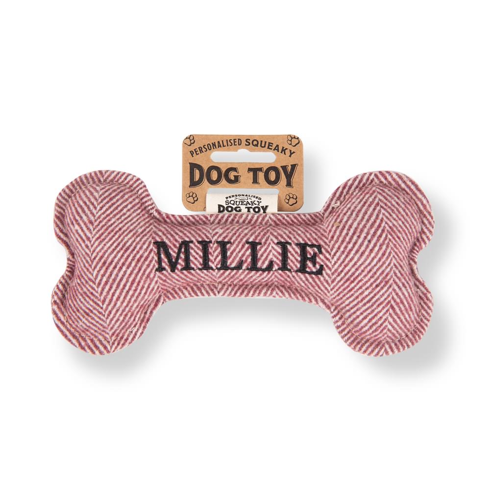 Personalised Squeaky Dog Toys - Names