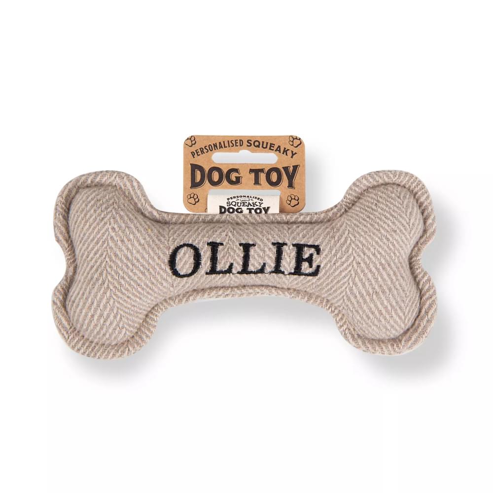 Personalised Squeaky Dog Toys - Names