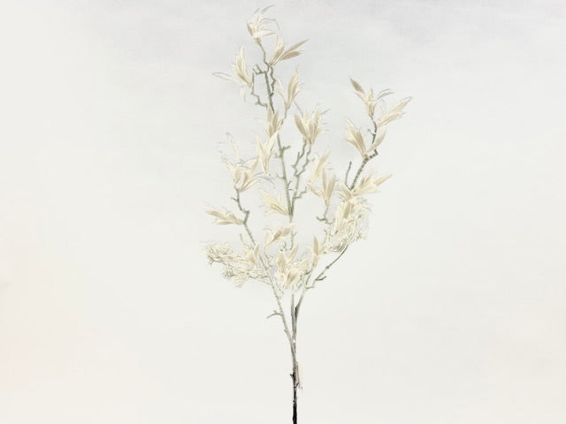 Christmas Floristry Stem - White Nerine Spray