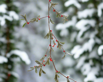 Christmas Garland - Glitter Foam Berries