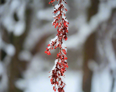 Christmas Garland - Vintage Sparkling Red/Silver