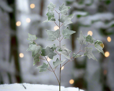 Flocked Holly Leaf Spray