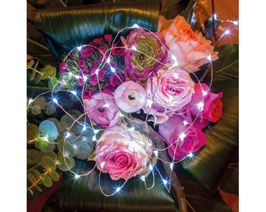 Christmas LED Collection - Cool White Stringlights