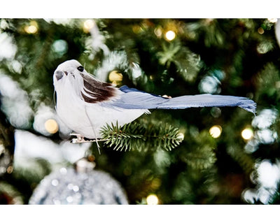 Christmas Bird with Feather Decoration -   Winter White/Sage Green/Petrol Blue