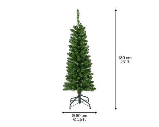 Pencil Pine Christmas Tree