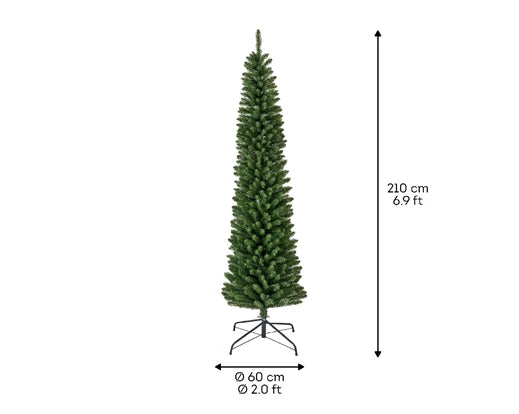 Pencil Pine Christmas Tree