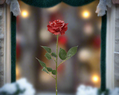 Floristry Stem - Red Frost Finish Roses