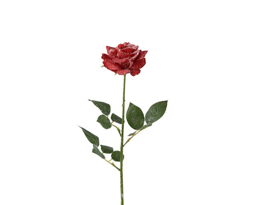 Floristry Stem - Red Frost Finish Roses