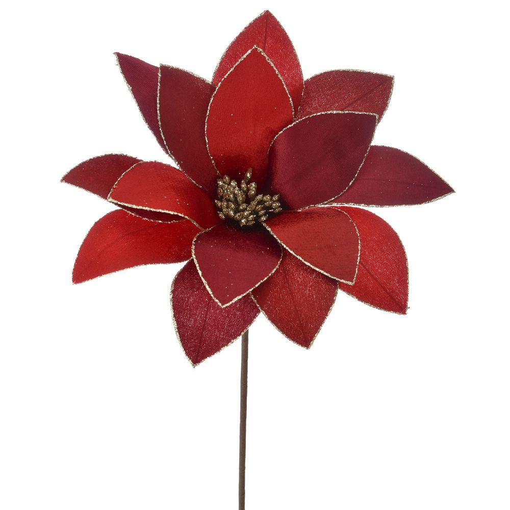 Red Two Tone Poinsettia Flower on Stem