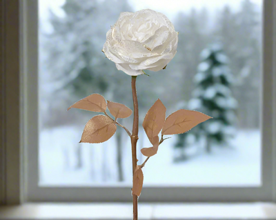 Winter White Rose on Stem