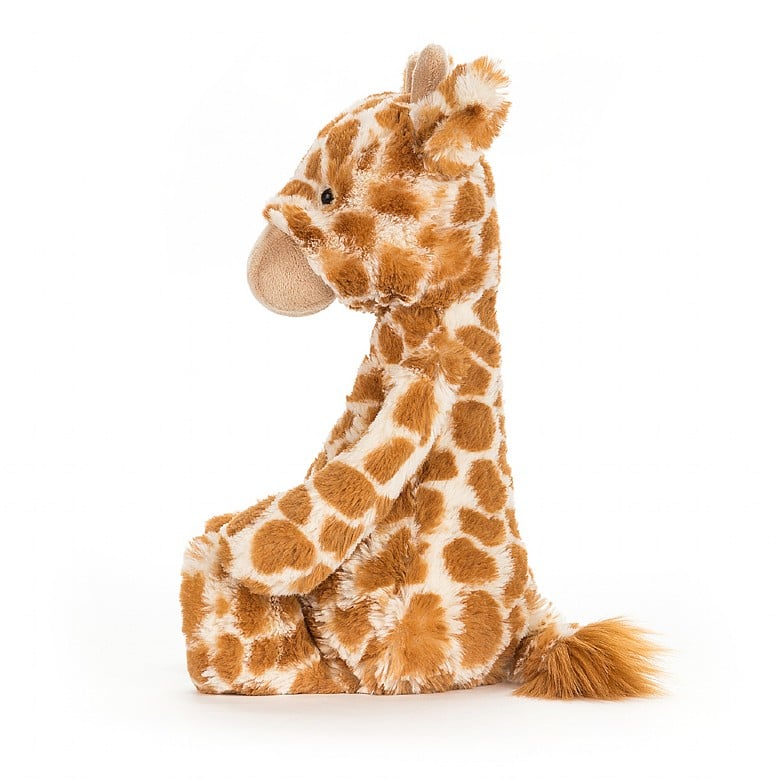 Jellycat Bashful Giraffe N