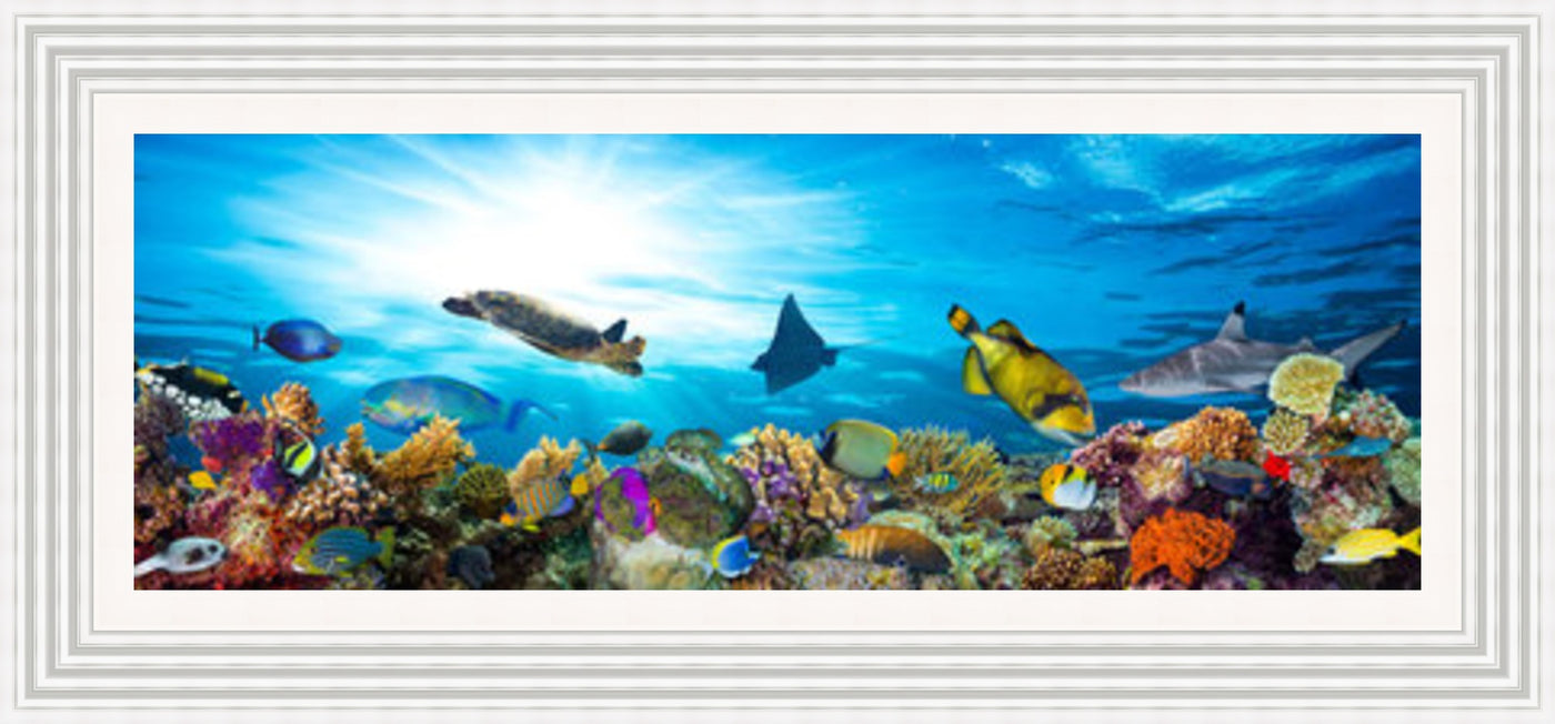Coral Reef Framed Picture - Art on Glass - **CLICK & COLLECT ONLY**