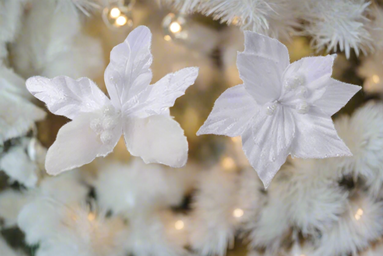 White Velvet Poinsettia on clip with Faux Fur - 2ass