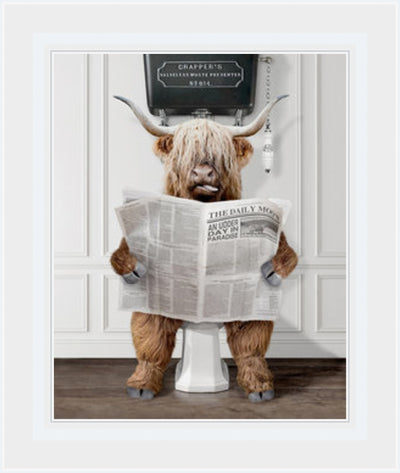 Bathroom Highland Cow with Newspaper - Art On Glass- **CLICK & COLLECT ONLY**