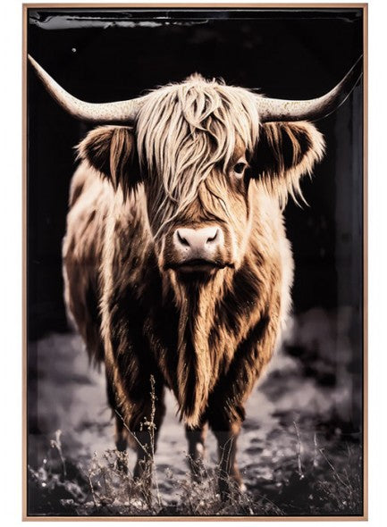Stonewall Gallery Framed Animals Picture Collection**CLICK & COLLECT ONLY**