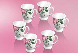 Newbridge Silverware Rose Collection - Set 6 Mugs