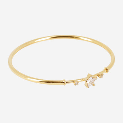 Zag Bijoux Bracelet Collection - Gold Plated Steel (30)
