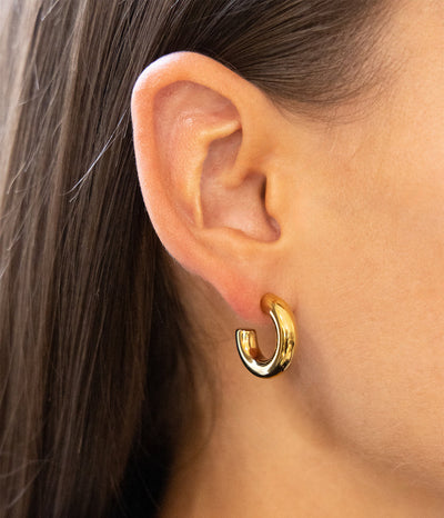 Zag Bijoux Earring Collection - Gold Plated Steel (38)