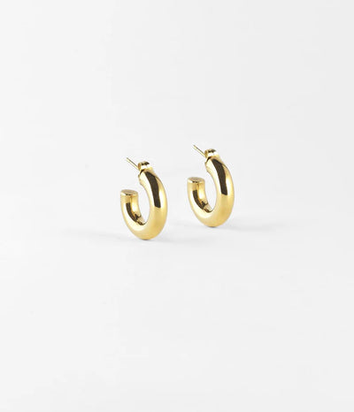 Zag Bijoux Earring Collection - Gold Plated Steel (38)