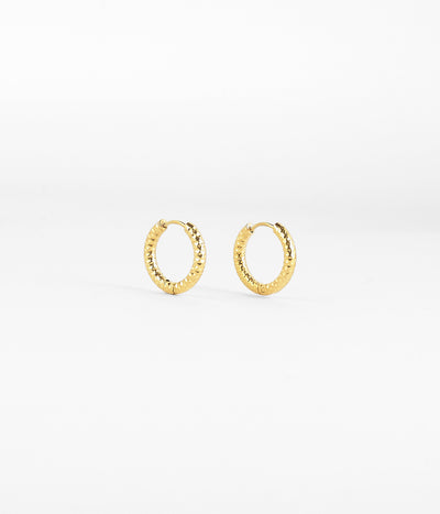 Zag Bijoux Earring Collection - Gold Plated Steel