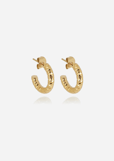 Zag Bijoux Earring Collection - Gold Plated Steel (5)