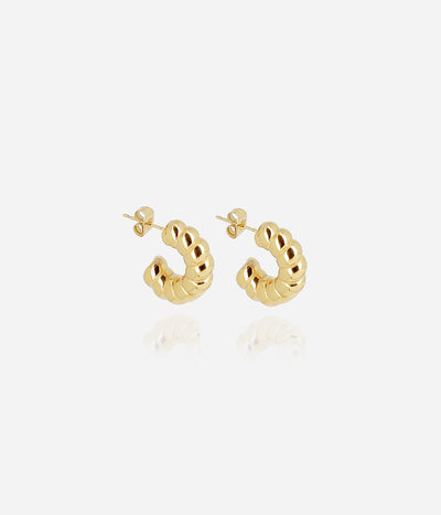 Zag Bijoux Earring Collection - Gold Plated Steel (5)