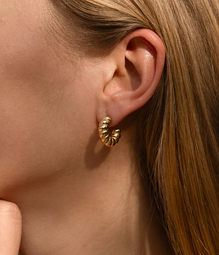Zag Bijoux Earring Collection - Gold Plated Steel (5)