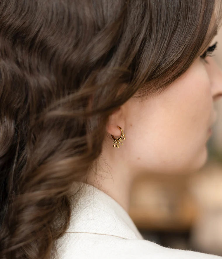Zag Bijoux Earring Collection - Gold Plated Steel  (14)