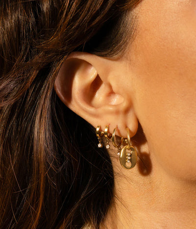 Zag Bijoux Earring Collection - Steel (21)