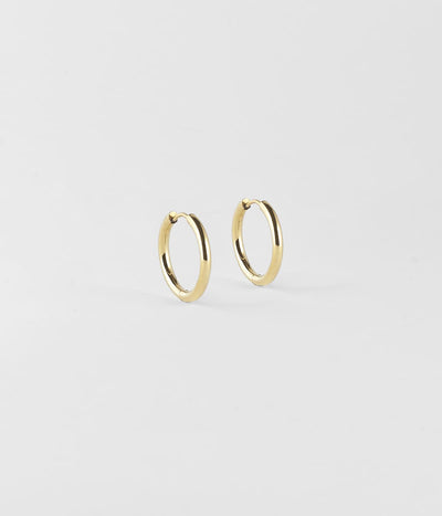 Zag Bijoux Earring Collection - Gold Plated Steel  (14)