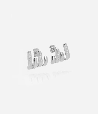 Zag Bijoux Earring Collection - Steel (21)