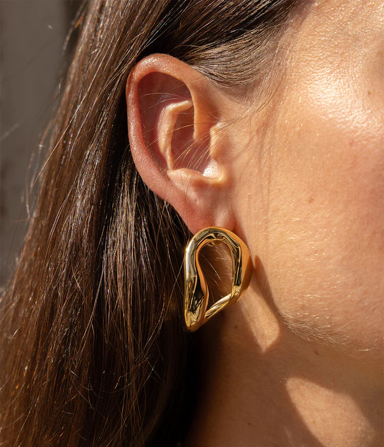 Zag Bijoux Earring Collection - Gold Plated Steel (3)