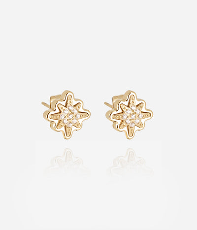 Zag Bijoux Earring Collection - Gold Plated Steel/ Steel (19)
