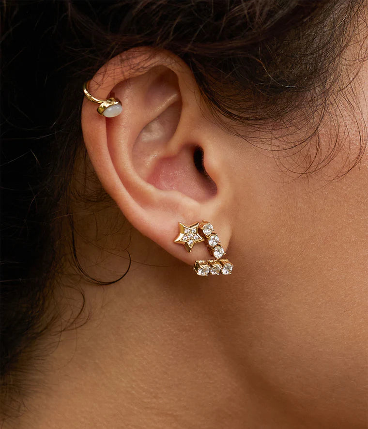 Zag Bijoux Earring Collection - Gold Plated Steel (36)