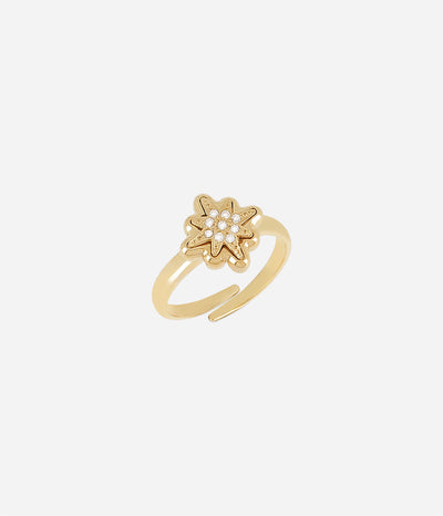 Zag Bijoux Ring Collection - Gold Plated Steel (18)