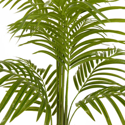 Tara Lane Artifical Floral & Plant Collection - Lady Palm Tree