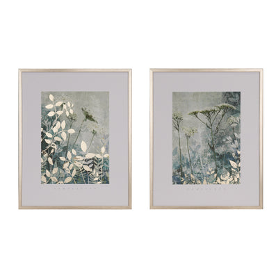 Tara Lane - Framed Print Collection **CLICK & COLLECT ONLY**